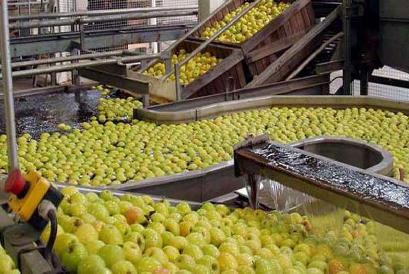 Bientôt un gigantesque complexe agro-industriel à l’île Boulay