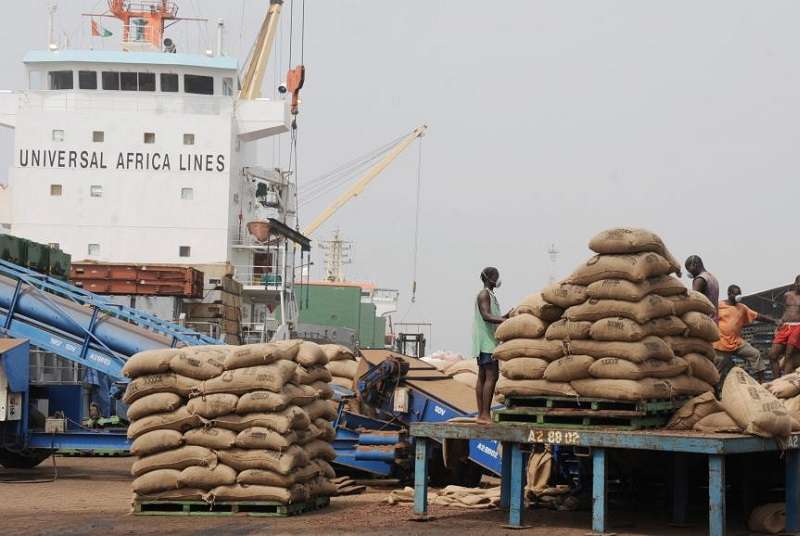 Cacao : la Côte d’Ivoire enregistre une hausse des exportations et de ses stocks